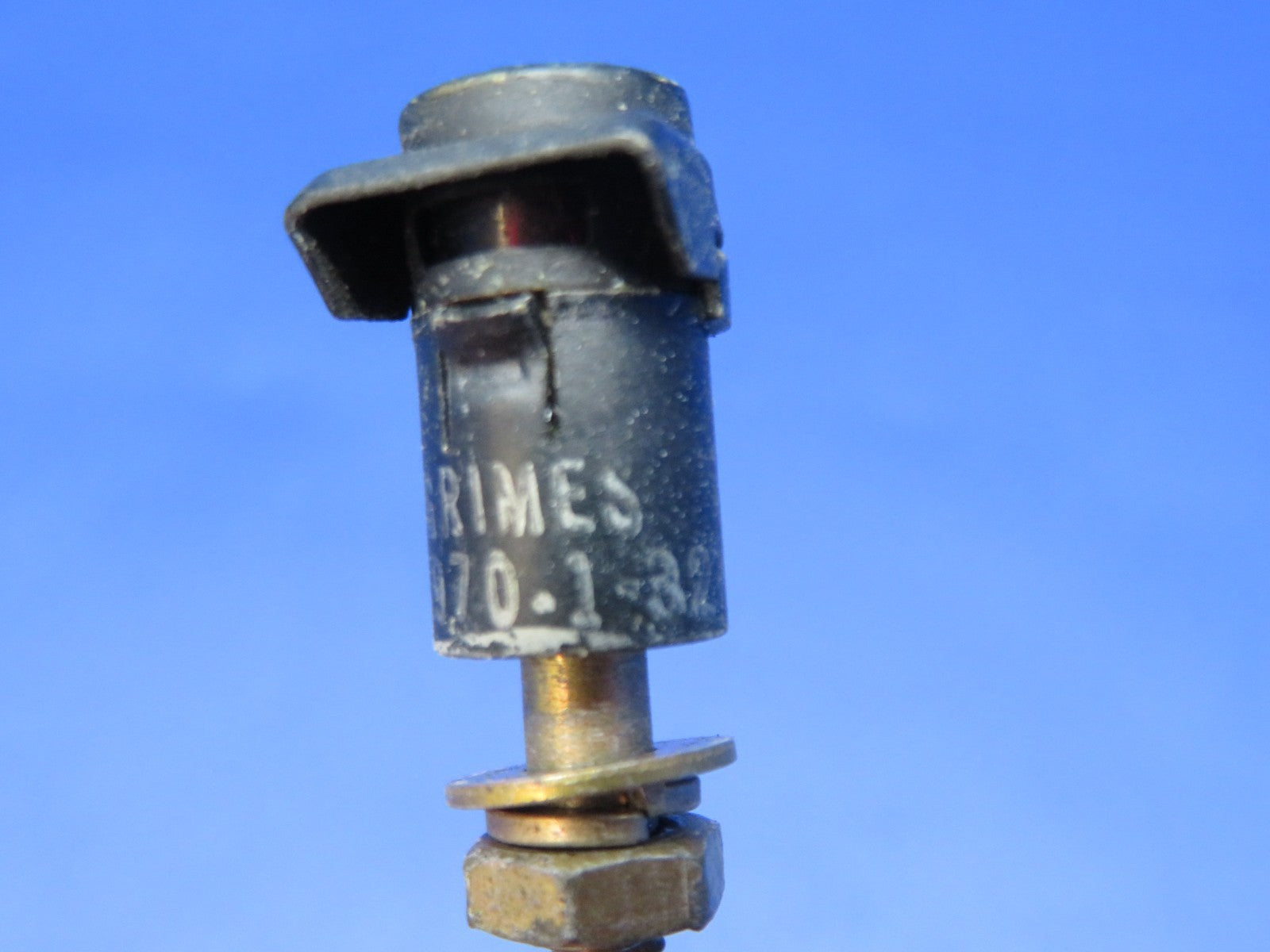 47031559
