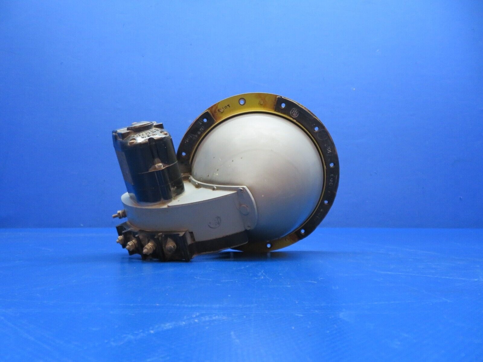 43950054
