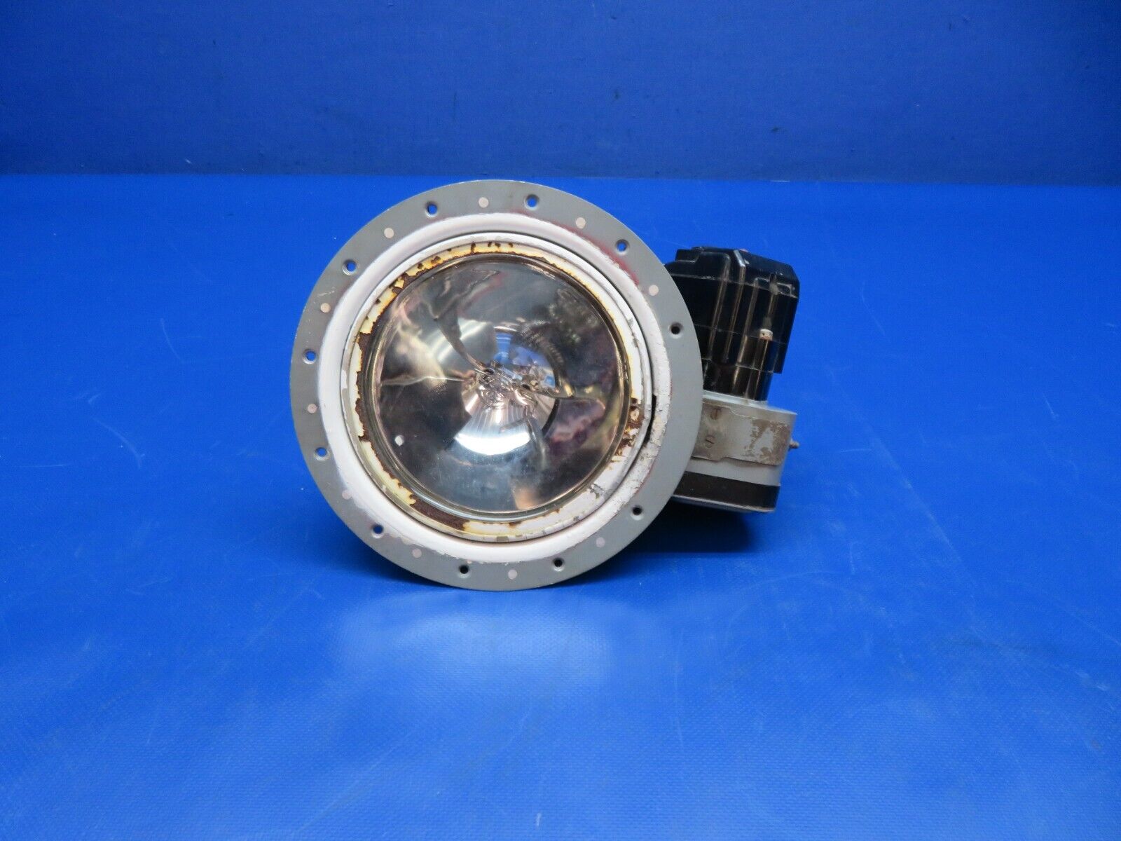 43950054