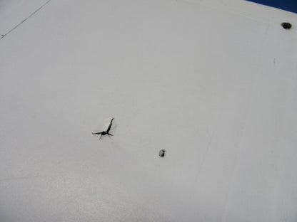 Bellanca 17-31A Viking RH Elevator Assy P/N 193105-20 (0724-09)