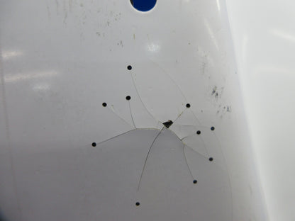 Damaged Piper PA-38-112 Tomahawk Lower Engine Cowl P/N 77677-02 (1124-816)1