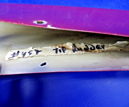 Cessna 172 / 172G Fiberglass Rudder Tip Cap P/N 0531006-34 (0326-1249)14