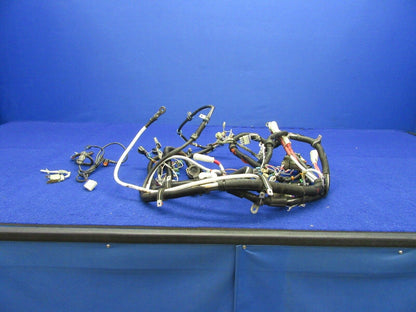 Cirrus SR22 Wiring Harness For Cirrus MCU130 (1221-441)