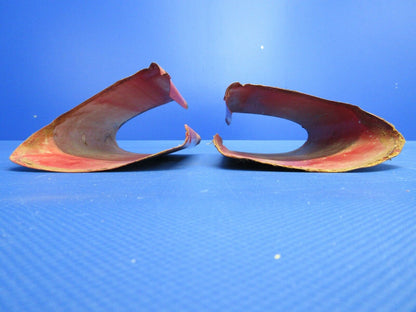 Stinson Forward Upper Fillet LH & RH P/N 108-1001001-0 (0224-1311)