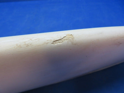 Piper PA-28R-180 Horizontal Stabilator Tip P/N 65300-00 (1123-413)