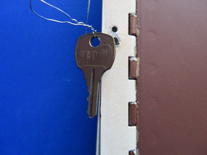 Bellanca 17-30 Viking Baggage Door Assy w/ Key P/N 196541 (0822-22)
